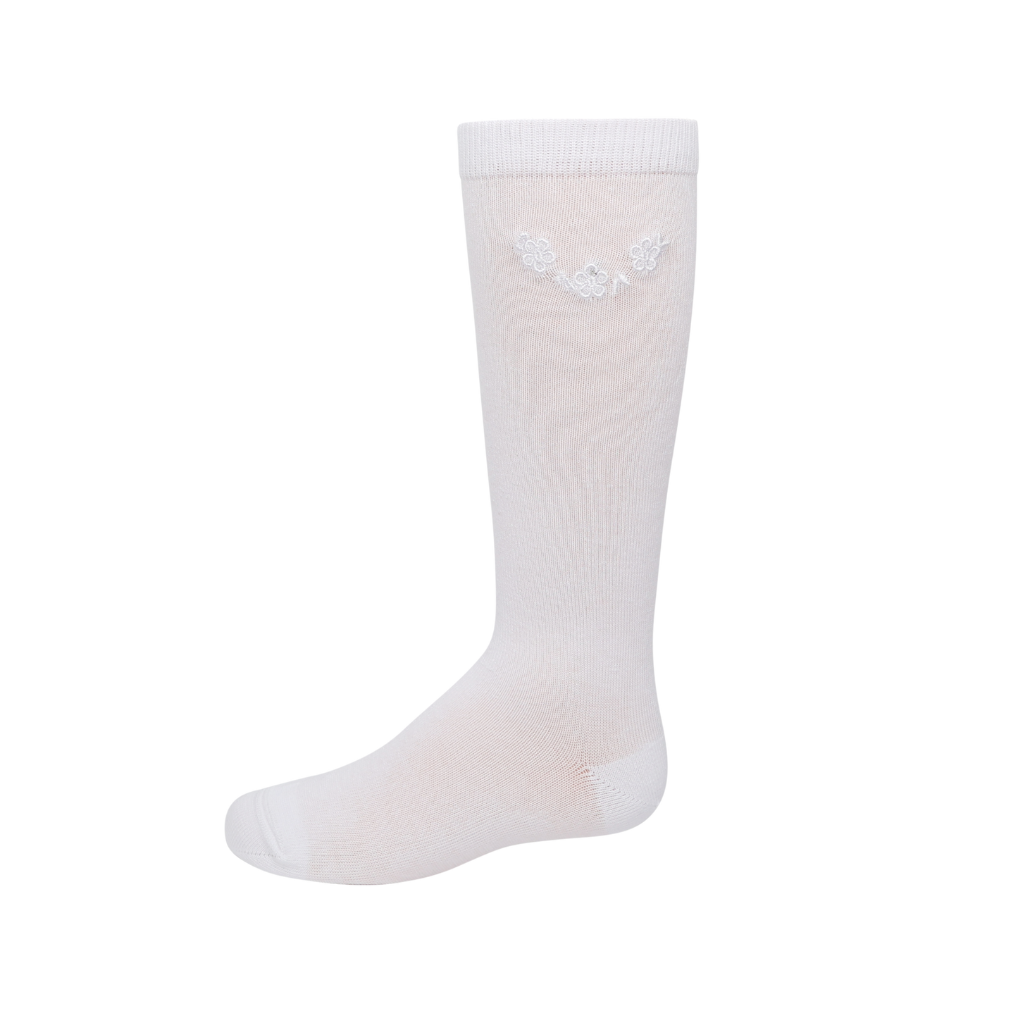 Montauk Knee