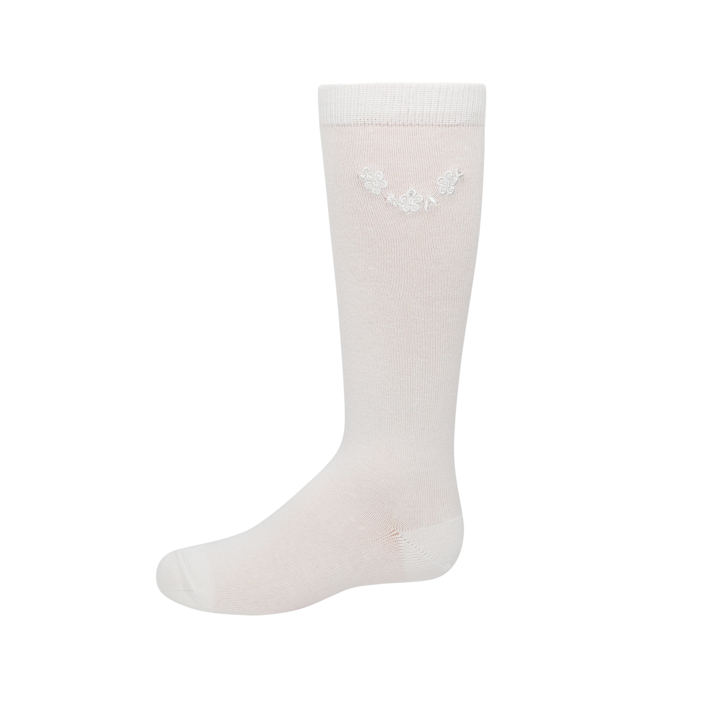 Montauk Knee