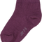 Eggplant