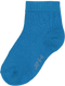 Peacock Blue